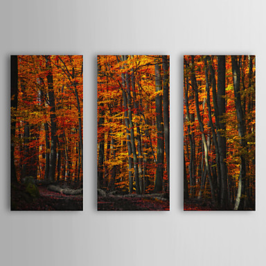 Stretched Canvas Art Botanical Forest Density by Philippe Sainte-Laudy ...