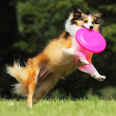 soft bite dog frisbee